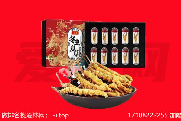 乌兰冬虫夏草回收