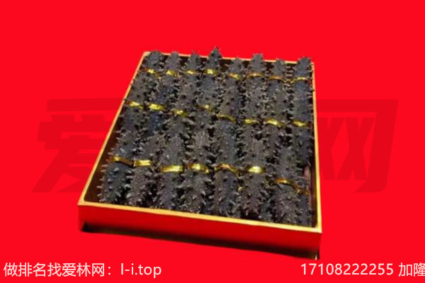 乌兰海参回收